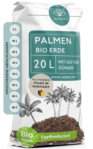 Blumenerde für Palmen Die 15 besten Produkte im Vergleich