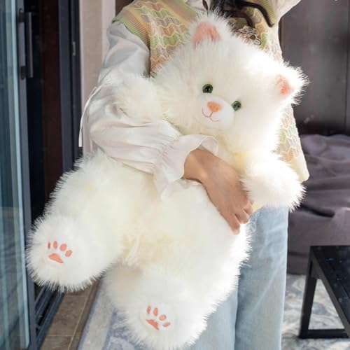 ʂ Aq lR    傫 n ӂӂNbV Aj} w CeAu X YQ  NX}X qǂ q X^C01 jp av[g j 40cm