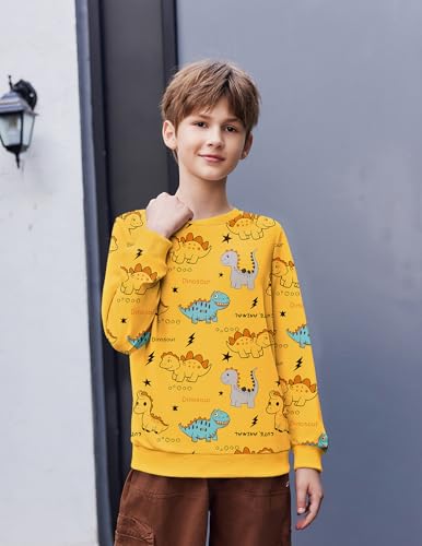 Arshiner Toddler Boy Crewneck Sweatshirt Long Sleeve Pullover Graphic Shirts for Kid Fall Tops Tees 2-10 Years2