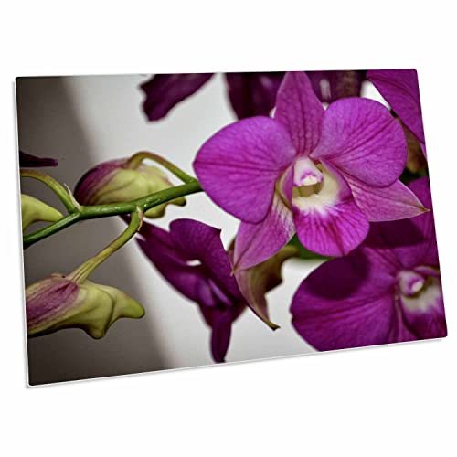 3dRose Desk Pad Pink Ladies con Orquídeas Rosas