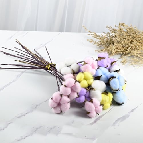 Pack de 10 Tallos de Flor de Algodón Natural Seco miniatura 4
