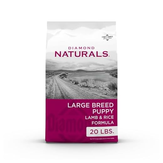 Diamond Naturals Large Breed Dry Puppy Food Real Lamb and Rice Protein, Probiotics, Superfoods, Antioxidants and Other Premium Ingredients to Support Health in Growing Puppies 20lb