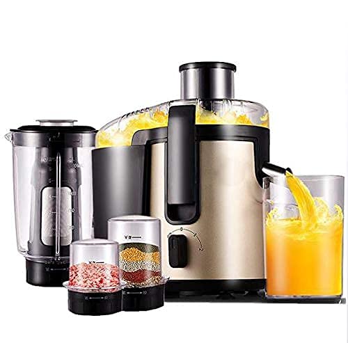 ERoomQ Multifunctional Household Fruit and Vegetable Juicer, High-Power Stainless Steel Grinder,Food-Grade Stainless Steel,Multi-Purpose Machine