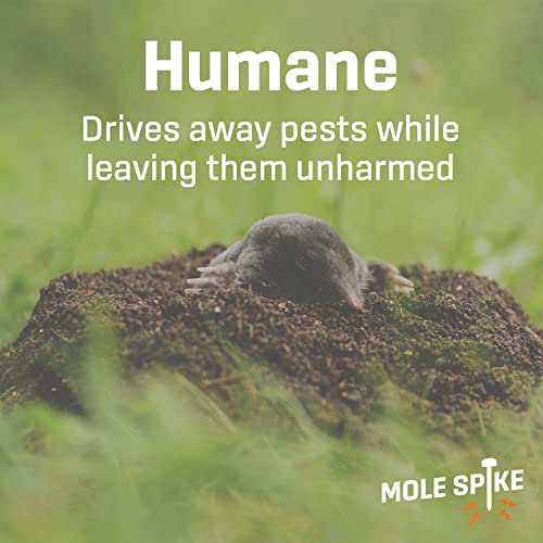 Exterminators Choice Ultrasonic Mole Spikes To Rid Lawns & Gardens Of Rodents - 8 Pack - Solar Powered Rodent Repeller Is An Energy Saving And Humane Pest & Gopher Repellent - Mole Repellent #TOP4