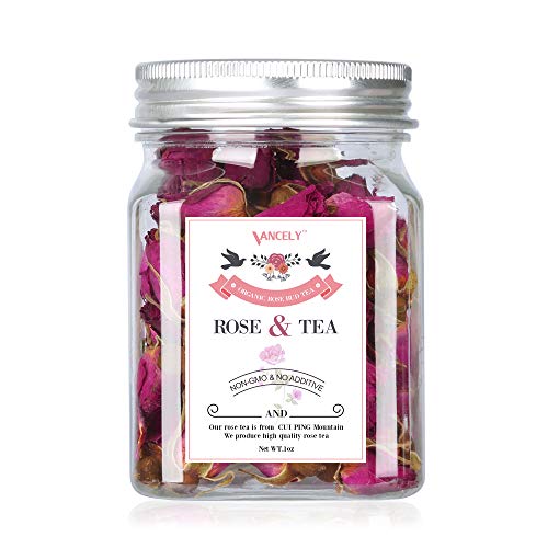 (50 OFF) Exterior Wall Sconce Fixture 27.50 Coupon Code