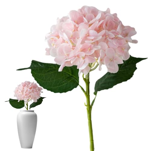 AWTCԁA  CeAA  ͂ȂԁA tFCN u[PA e[uZ^[s[XA  ԑ EFfBO ̓MtgA A[gt[ ԍށA CeA ʐ^