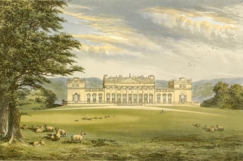 Tableaux muraux Harewood Alexander Lydon : affiche animaux et impression d'art 60x90