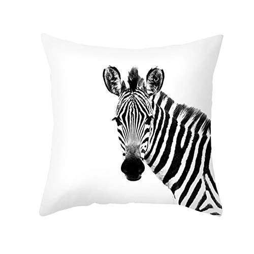 KnBoB Housse Coussin 40x40, Taie Oreiller 40x40 Taie Doreiller Blanc Noir Thème Animal Motif Zèbre Deco Maison Cover
