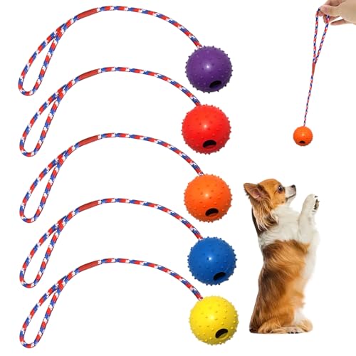 Zyluniy 5 Stück Wurfball Hund Hundespielzeug, ø 5 X 30cm Hundeball mit Schnur, Naturkautschuk Ball für Hunde, wurfspielzeug Hund für Große & Kleine Hunde Werfen