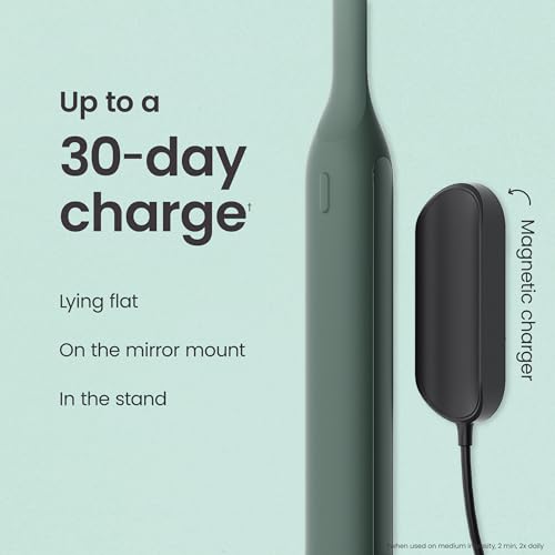 Image of Quip Ultra Next Generation Smart Sonic Toothbrush - Timed Electric Toothbrush for Adults - Replaceable Brush Head, Soft Bristles, Silicone Handle, 30-Day Battery Life, Travel Case - Moss Green