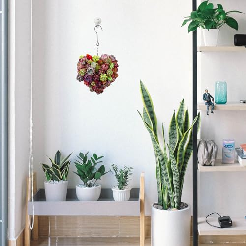 Cadre en cœur métal pour plantes grasses solution gain de place mural