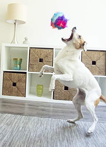 Godog Furballz Squeaky Plush Ball Dog Toy, Chew Guard Technology - Cool Rainbow, Small #TOP3