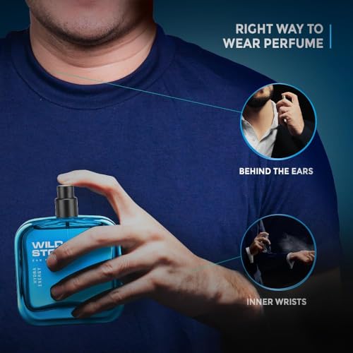 Image of Wild Stone Hydra Energy Perfume Spray, Sandalwood, 100 ml