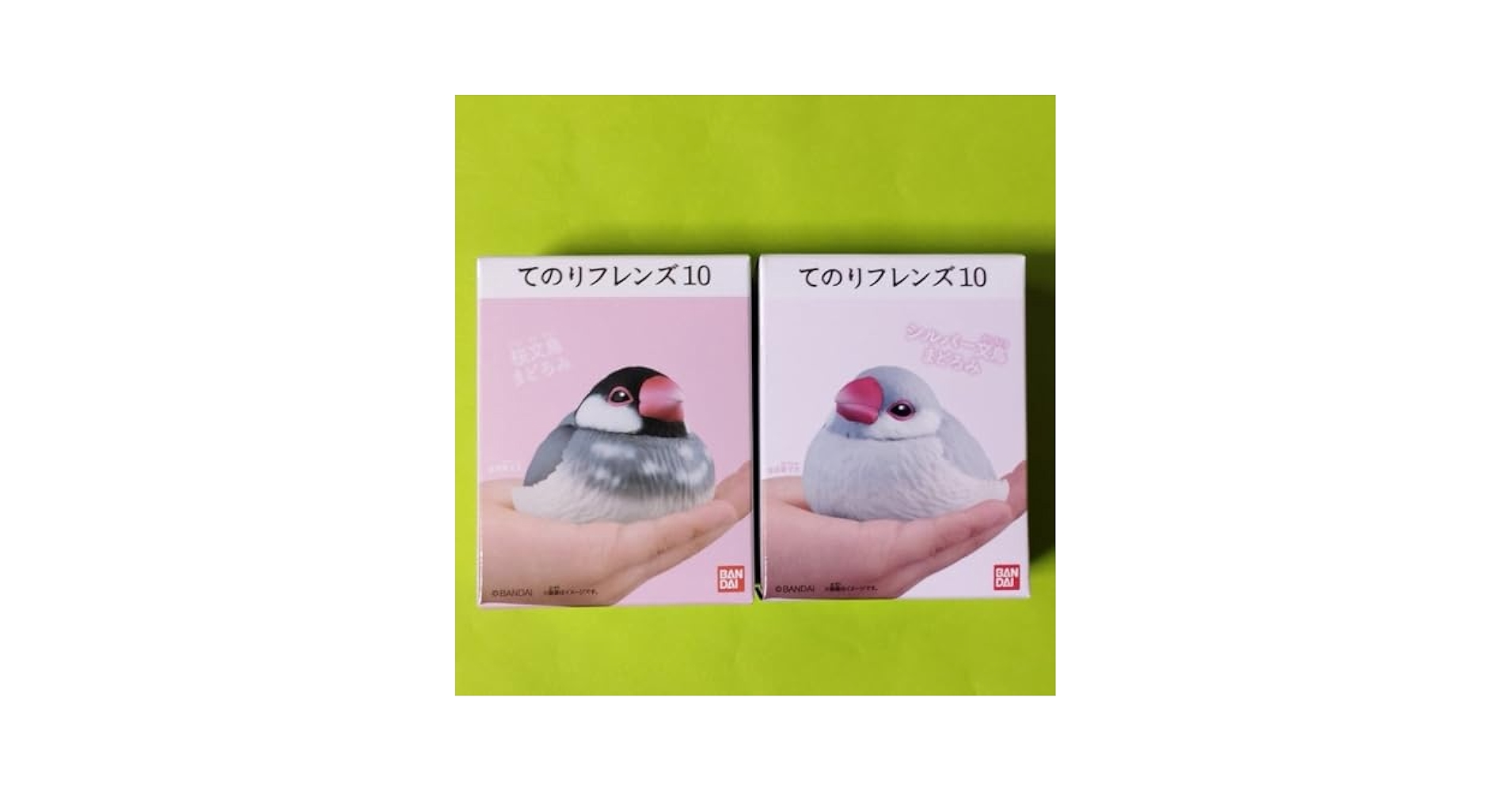 Amazon.co.jp: てのりフレンズ10 桜文鳥 シルバー文鳥 まどろみ2