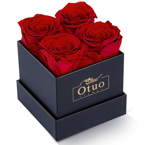 Preserved Roses in Gift Box, Flowers for delivery Prime,Real Eternal Rose Flower Gifts for Girlfriend, Mom, Women, Wife, Birthday Anniversary (Red)