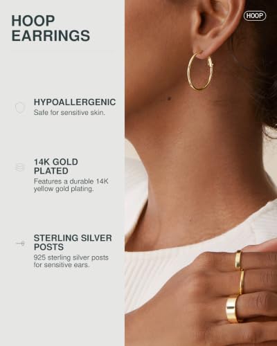 Image of PAVOI Gold Hoop Earrings for Women, 14K Gold Plated Paddle-Back Hoops