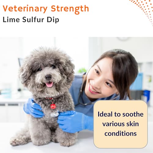 Classic's Lime Sulfur Dip - Pet Care for Itchy and Dry Skin - Xtra Strength Formula - Safe Solution for Dog, Cat, Puppy, Kitten, Horse (16 fl oz)