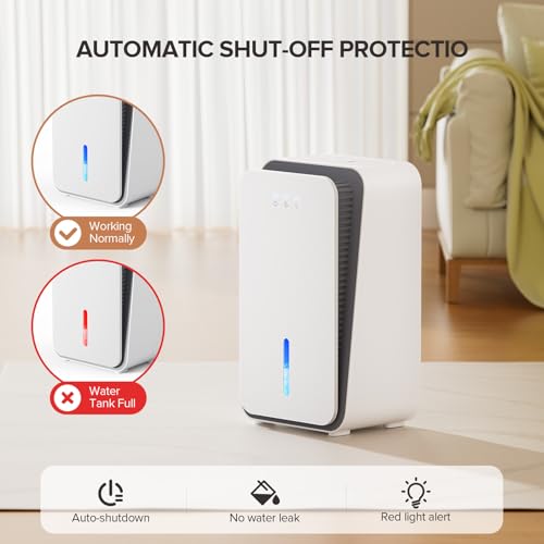 Commercial Grade Dehumidifier for Basements