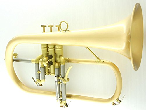 Amazon | CarolBrass（キャロルブラス） N6200 All-Satin GB