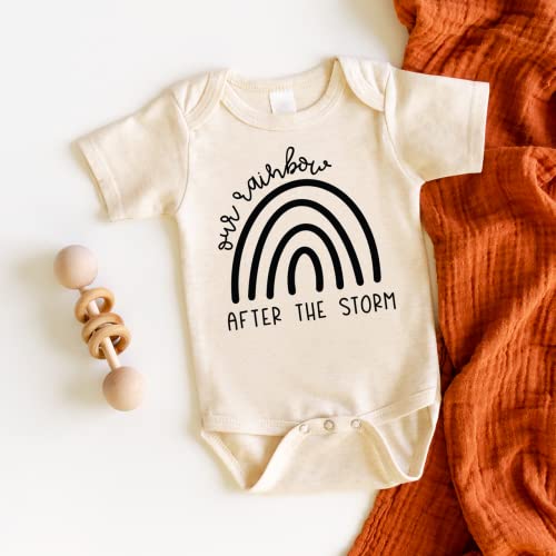 Bump and Beyond Designs Pregnancy Announcement, Rainbow After the Storm2