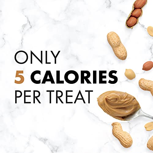 NUTRO Crunchy Dog Treats with Real Peanut Butter, 10 oz. Bag EducatedDogs