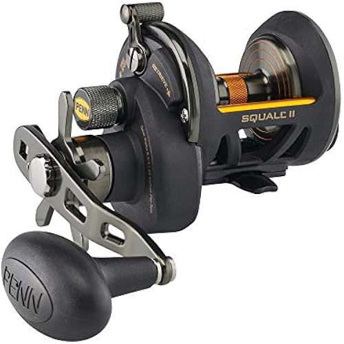 PENN Squall II Star Drag Conventional Fishing Reel