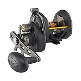 PENN Fishing Squall II Star Drag Conventional Fishing Reel, Black Gold