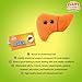GIANTmicrobes Stuffed Liver Plush, Liver Stuffed Animal, Anatomical Liver, Hepatologist Gift, Liver Transplant Gifts, Hepatitis Gift, Hepatology Gift, Cirrhosis Gift, Liver Pillow, Liver Donor Gift