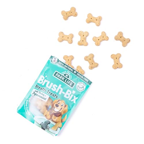 PARK LiFE - Brush-Bix Turkey & Peppermint Flavour Dog Biscuits Nutritious Snack 8 x 100g Pouches, 100 g (Pack of 8) - Image 4