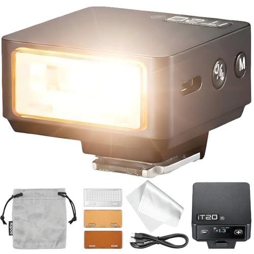 Godox iT20-R TTL Mini Flash pour Ricoh...