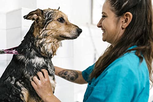 Image of Flea and Tick Dog Shampoo+Anti-Itch Dog Shampoo|Ditch to Itch 500ml | Dog Shampoo for Labrador, German Shepherd, Golden Retriever,Ticks and Fleas Remover for Dogs(Combo of 2)