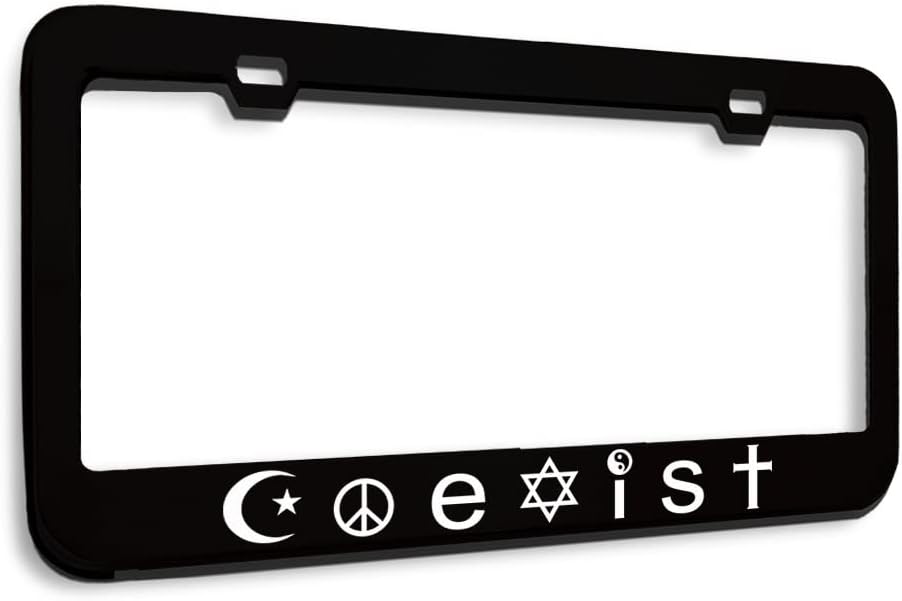 Metal License Plate Frame Coexist Car Accessories Stainless Steel 2 Holes 1 Frame