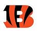NFL Cincinnati Bengals Automotive Magnet, 8-Inch
