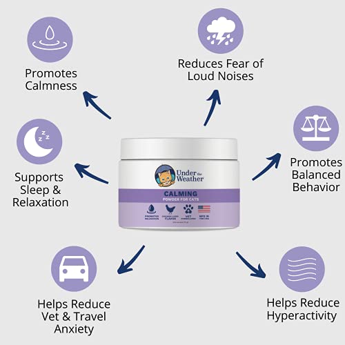 Under The Weather Pet Post Surgery Bundle For Cats | High Calorie Nutritional Supplement, Oral Probiotic Gel, Calming Powder | Normal Digestive Balance, Supports Relaxation, Weight Gain & Not Eating #TOP6