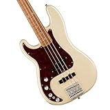 Fender