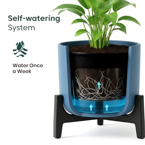 Image of Kyari Peace Lily Live Plant with Grey Self Watering Pot 4 Inch - Peace Lily Indoor Live Plant with Pot for Home, Living Room, Bedroom, Office - Flowering Air Purifying Indoor Plant