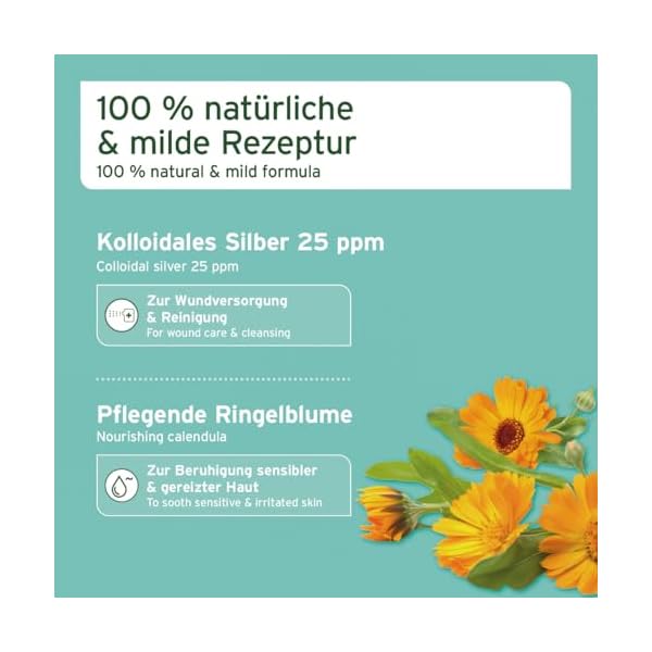 AniForte Ohrentropfen mit kolloidalem Silber 25ppm & Ringelblume 50ml | Für Hunde, Katzen & Kleintiere I Bei Ohrentzündungen, Juckreiz I Ohrenpflege, Ohrenhygiene, Gesunde Ohren – Bild 4