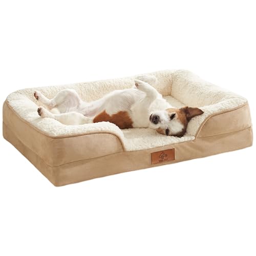 Premium Medium Dog Bed with Certified Orthopedic Memory Foam | Removable, Washable, and Breathable Dog Bed | Waterproof Cover (LARGE)