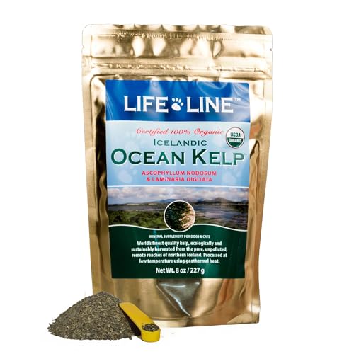 Life Line Organic Ocean Kelp Powder for Cats Dogs Livestock and Horses Natural Iodine Supplement for Healthy Skin Coat and Teeth Reduces Plaque & Increases Metabolism - 8 oz