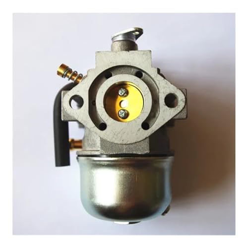 Carburateur résoud problème démarrage tondeuse Hover HM19S2 - 3