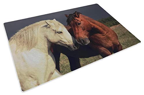 tex family Alfombra felpudo Digital Friends cm 40 x 60 caballos