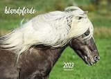 Edition Seidel Islandpferde Premium Kalender 2023 DIN A3 Wandkalender Pferdekalender Pony Isländer Islandpony Pferde Island Skandinavien