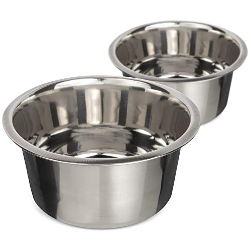 Neater Pet Brands 5 Cup (40 oz.) Stainless Steel Dog Bowls, Set of 2 Neater Feeder Replacement Bowls (Medium Deluxe Model), Dog Food Bowl & Water Bowl, Dishwasher Safe Metal Dish for Medium Dogs