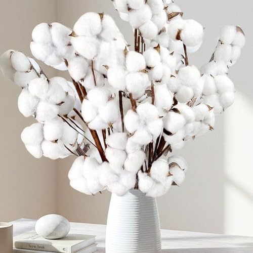 10 Packs Natural Dried Cotton Stems - 15 Inch Real Cotton Flowers with 20 Bolls Rustic Farmhouse Decor Branches Bundle for DIY Vase Fillers and Wedding Centerpiece Christmas Halloween