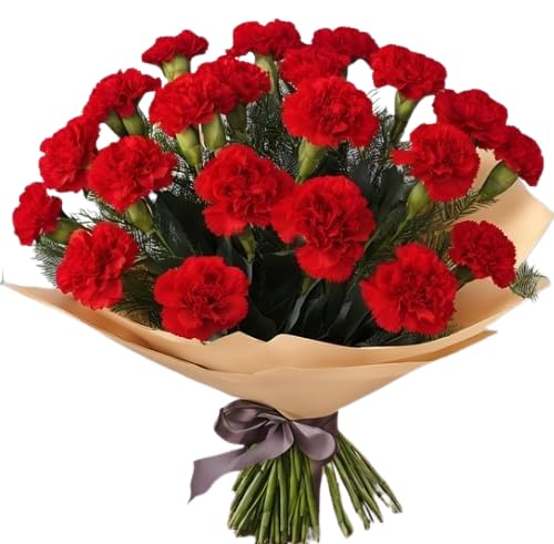 KaBloom - 12 Red Carnation Without Vase - Fresh Flowers for Birthday, Valentine's & Mother's Day
