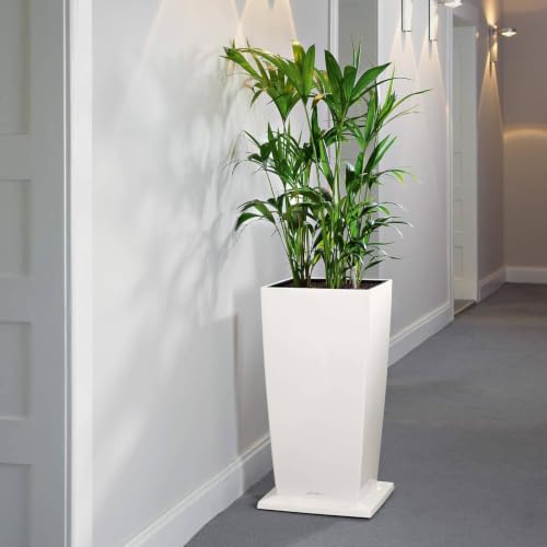 Lechuza CUBICO 30 Rolluntersatz anthrazit metallic – Ansicht 5