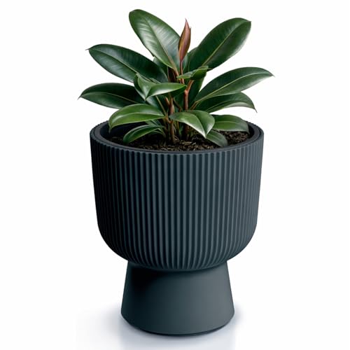 Prosperplast Milly Designer-Blumentopf Modernes Zylinderdesign inkl. Pflanzeinsatz, für Innen- und Außenbereich, Frostbeständig, Hitzebeständig und UV-strahlenbeständig (Anthrazit, ⌀ 239 mm)