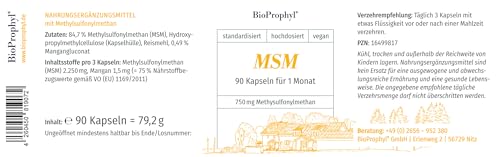 MSM Kapseln BioProphyl – 750 mg reines Methylsulfonylmethan