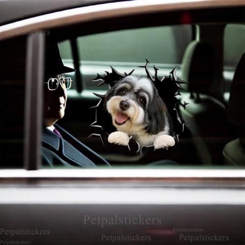 Image of Vinyl Dog Stickers - Car Decals for Women, Dog Lovers (Havanese)
