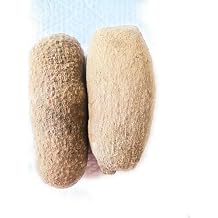 New Fresh Ghana Yam, 7-8lb 2 Large Tubers